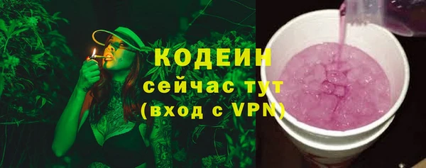 прущие грибы Богородицк