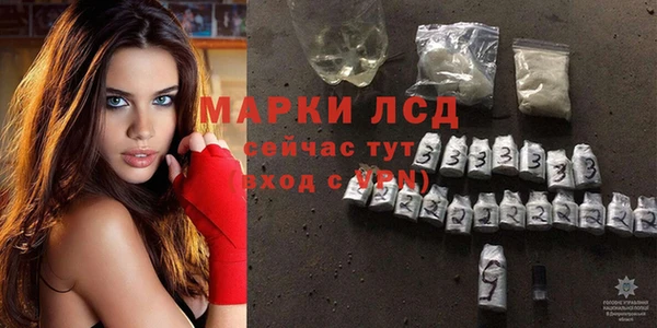 прущие грибы Богородицк