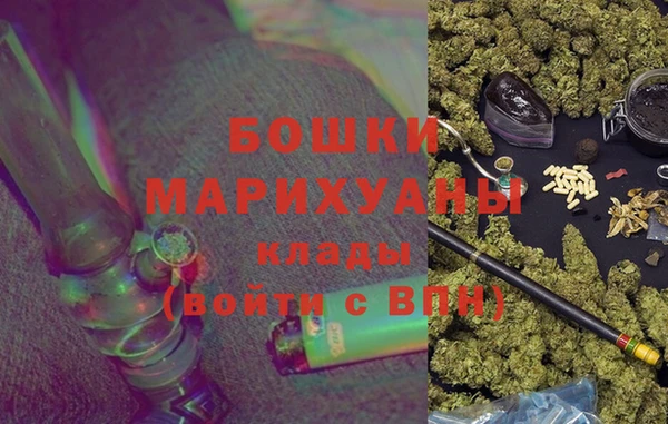 PSILOCYBIN Белокуриха