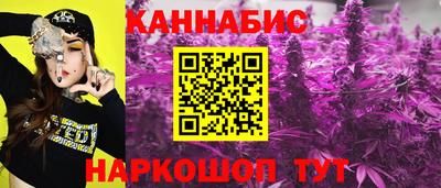 прущие грибы Бийск