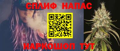 прущие грибы Бийск