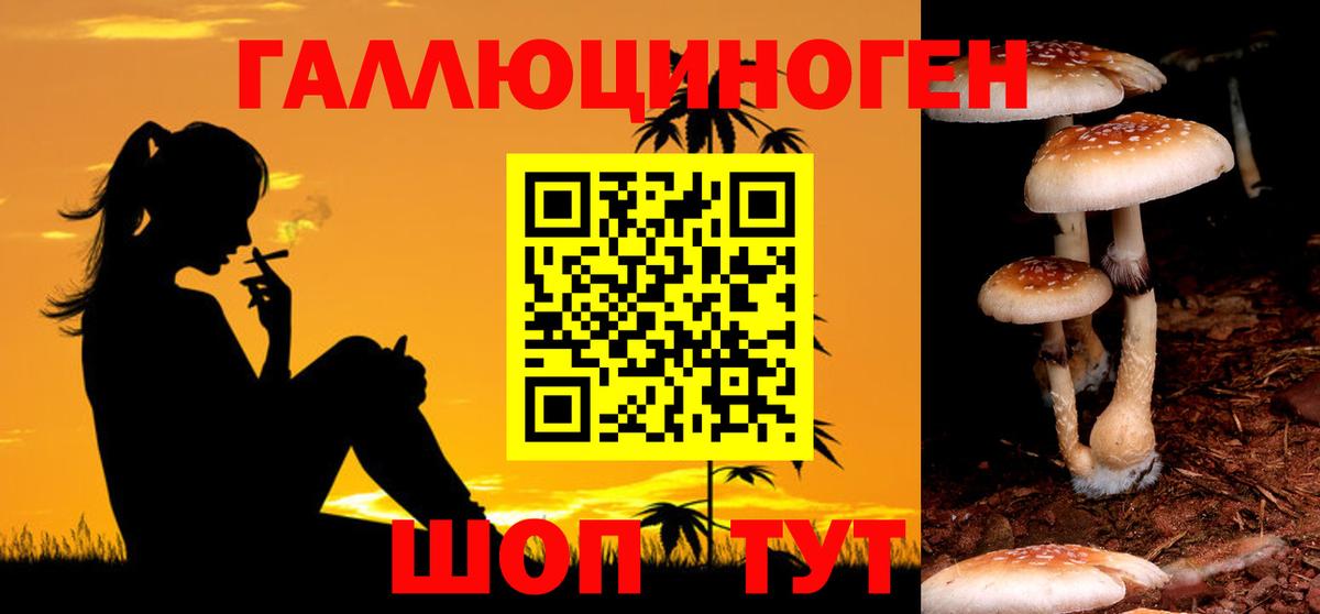 Галлюциногенные грибы Psilocybe  что такое   Видное 